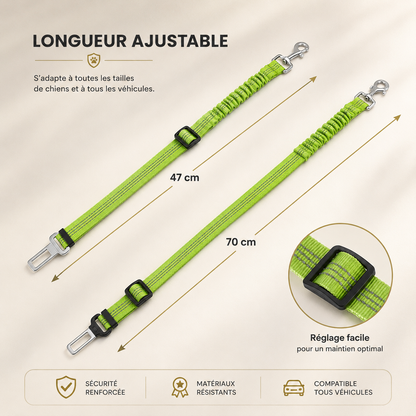 Ceinture de sécurité pour chien réglable avec amortisseur