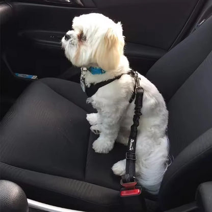 Ceinture de sécurité pour chien réglable avec amortisseur